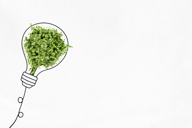 Green energy saving background light bulb with trees remixed med